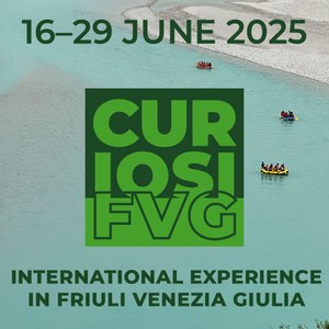 CuriosiFVG 2025