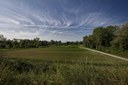 Parco del Seminario_prati