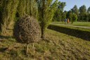 Parco del Seminario_Humus Park