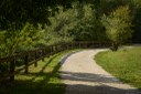Parco San Carlo_sentiero