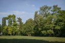 Parco di San Valentino_alberi