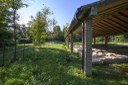 Parco di Torre_vestigia romane